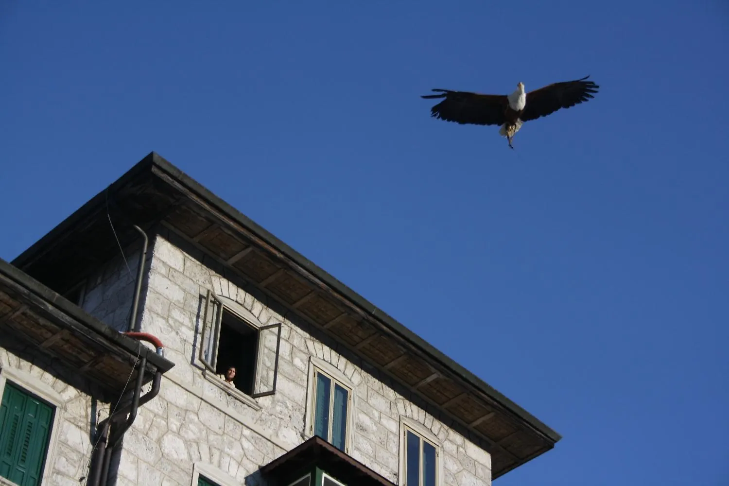 Th Borca Di Cadore - Park Hotel Des Dolomites