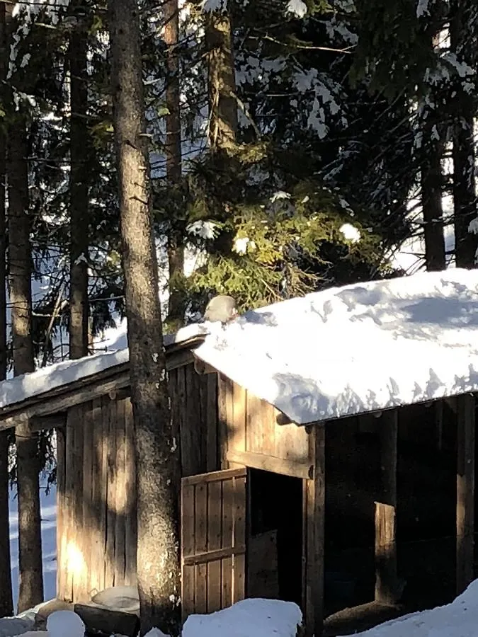 Th Borca Di Cadore - Park Hotel Des Dolomites